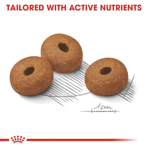Royal Canin (ROYBJ) Hundefutter Light Weight Care, 1er Pack (1 x 3 kg)