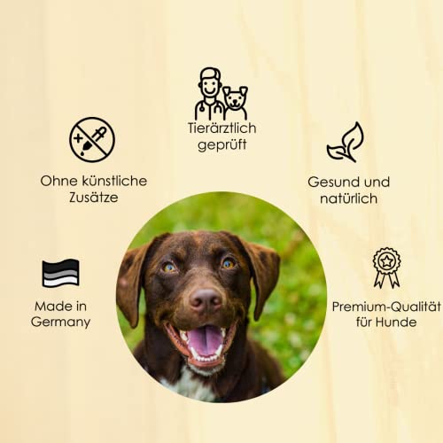 Grünlippmuschelpulver Hund - 100% reines Grünlippmuschelextrakt zur Unterstützung der Gelenke - Neuseeländische Grünlippmuschel als Gelenkpulver für Hunde - Pulver als Futterzusatz hochdosiert