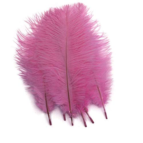 Shekyeon Pink 10-12inch 25-30cm Ostrich Feather Home Decoration DIY Craft Pack of 10