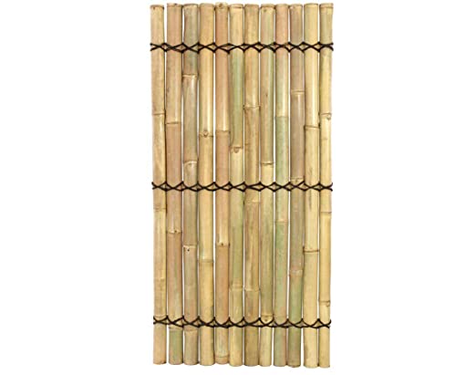'bambú Visión Schut zzäune 'apas5 amarillento, 180 x 90 cm – Visión Schut zzäune para ventana pared jardín Visión Protección Visual para balcones Visión winschutz pared para jardín y terraza blich Protección para visión paredes de visión paredes Protector para balcones – - grande gama, bambú, juncos y productos Natural para jardín