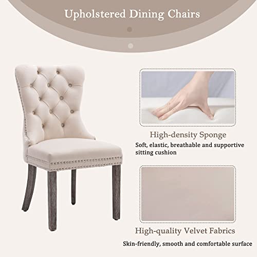 KCC Set of 6 Velvet Dining Chairs, Modern Upholstered Tufted Design with Nailhead Trim, Solid Wood Legs - Nikki Collection in Beige