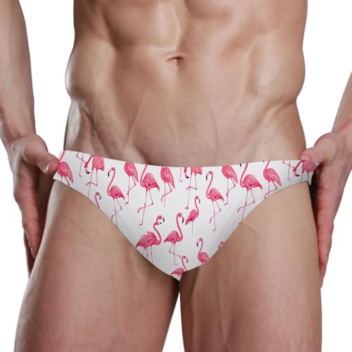 Pink Flamingo Swim Briefs for Men Swimsuit Bikini Swimwear S B04043234