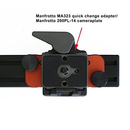 Roundabout-NP Deluxe II 15R misura L (incluso