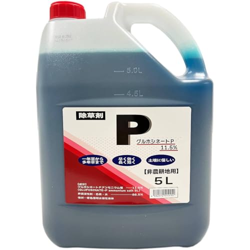 OzVl[gP 5k×4{ VZC  Ɩp OzVl[g  t _kn G ΍