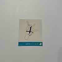 日向坂46、４回目のひな誕祭ステッカーサイン入り Amazon.co.jp: 日向坂46 4回目のひな誕祭 ステッカー 会場限定