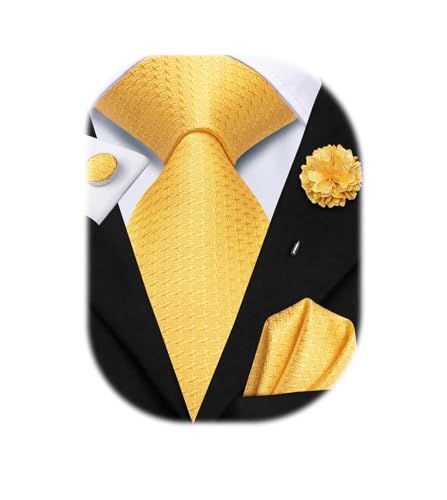 Hi-Tie Mens Silk Tie Set with Cufflinks
