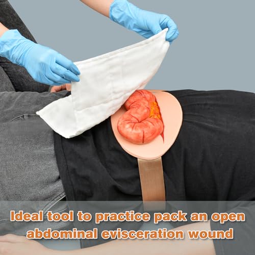 Image of Eviscerated Intestine Simulator, Open Abdominal Wound Packing Trainer, Large Intestine Simulator for Wound Care Practice, Medical Education Tools
