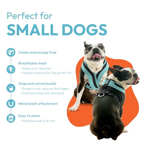 Image of Gooby Comfort X One Dog Harness, Choke-Free, Miami Yellow, X-Large | Escape-free contracting fit; Choke-free deep V-neck; Snap & swivel buckles; Shock-absorbing; Breathable mesh