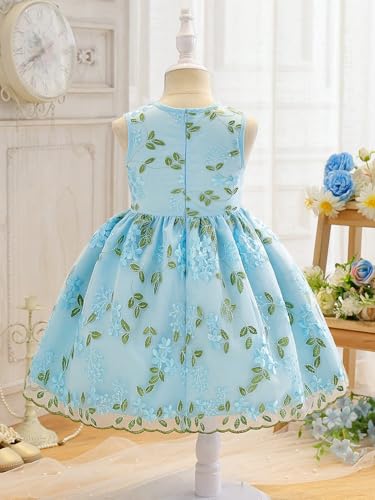 Image of Tagas Girls' Princess Dress | Girl Dress |Dresses birthdaydress for Babygirls | A-Line Knee-Length Dress
