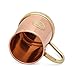 Copper Mules The Finest HandCrafted Copper Mug Unique Patented Design - Solid Brass Base and Handle - Holds 18oz
