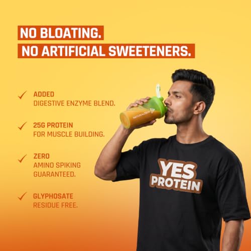 NATURALTEIN Store Naturaltein YES Protein 1kg Aamras Flavour - Image 8