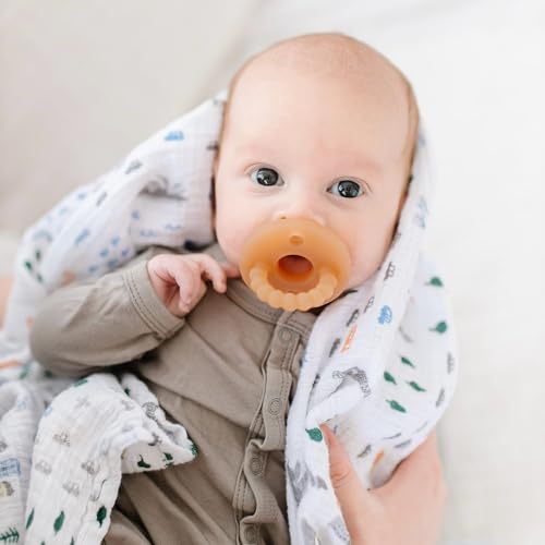 Image of Ryan & Rose Cutie PAT Pacifier Teether 10 Pack Assorted Colors (Canyon (Boy), Flat)