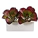 Nearly Natural Mini 11in. Succulent Artificial White Planter Silk Plants, Maroon