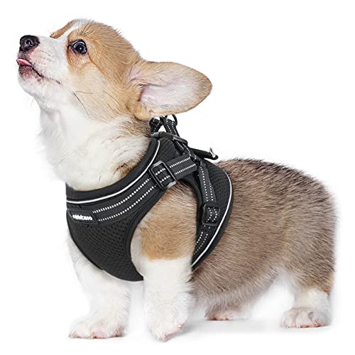 rabbitgoo Small Dog Harness, Soft Mesh Dog Harness with 4 Adjustable Straps, No Pull Dog Vest Harness with Double Clips & Reflective Strips, Escape Proof, Black, Medium