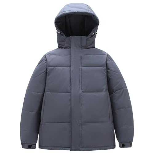 Men's Down Jacket with Adjustable Hood Windproof Insulated Puffer Hoodie Casual Warm Thick Hooded Plush Parka (Grey 2,Large)
