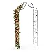 blumfeldt FloraBelle - Arco per Rampicanti, Arco per Rose in Acciaio Verniciato a Polvere, Pannelli Decorativi a Foglia, Resistente agli Agenti Atmosferici, Facile da Montare, 240x110x40 cm immagine