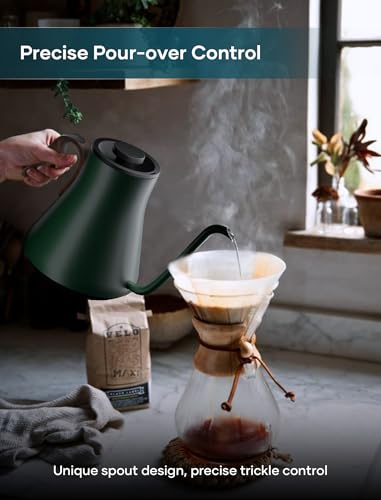 Image of INTASTING Gooseneck Electric Kettle with 1℉ Temperature Control, 0.9 Liter