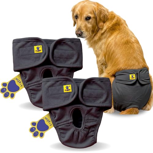 Image of A+a Pets' Cotton Dog Diapers | Stretchable Comfortable Washable and Reusable (Grey Combo, XL)