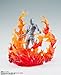 TAMASHII NATIONS - Burning Flame Red ver. for S.H.Figuarts Tamashii Effect