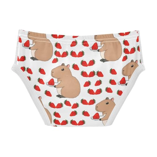 Boys' Exclusive Briefs Toddler Underwear 95% Combed Cotton Boxerbriefs 2T Capybara and Strawberry Pattern 212