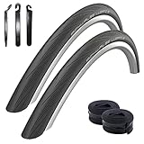 2 x Schwalbe Lugano 2