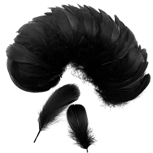 JIANGZHIB 350 Stück Schwarze Federn - Bastelfedern Für Traumfänger, Ohrringe & Deko