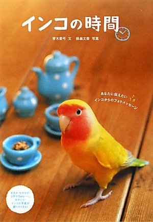 Amazon.co.jp: インコの時間: あなたに伝えたいインコからのフォト