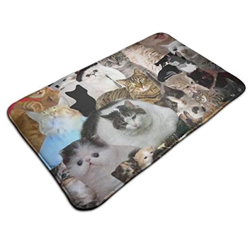 135 Dekor dörrmatta söt katt collage konst kontor användning matta miljövänlig inomhus dörrmatta antimircobiella välkomstmattor för hem, uteplats, kök, 40 x 60 cm