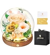 インテリア☆レア☆生花 薔薇 ローズ プリザーブドフラワー 24金