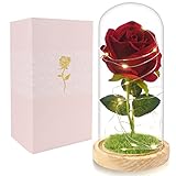 Beferr Beauty and The Beast Rose Enchanted Flower with LED Light in Glass Dome for Christmas Valentine's Day Mother's Day Birthday Best Gifts for Girlfriend Wife Women Her - Red