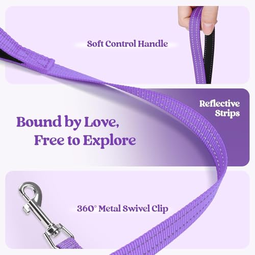 rabbitgoo Dog Harness Small Dog and Leash Set, Step-in Soft Mesh Puppy Harness with Reflective Strips, Lightweight Breathable Pet Vest for Walking Training, Purple, XS - Image 5