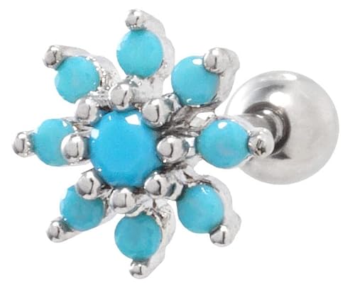 [From da Phactory] t _ t@Ng[ tFCN ^[RCY t[ Xg[go[x XeX sAX {fBsAX 1(14G,Vo[)