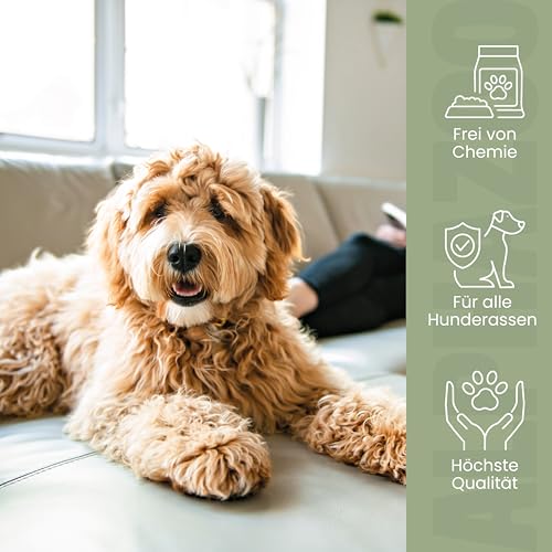 alphazoo Seelenruhe Tabletten für Hunde - Beruhigungsmittel 50 Stück - 75g