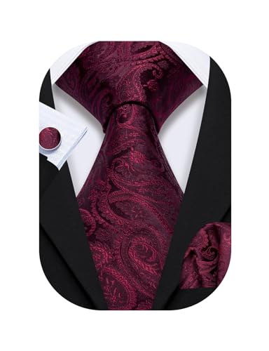 Image of Barry.Wang Men Ties Paisley Woven Silk Necktie Set with Pocket Suqare Cufflinks Formal