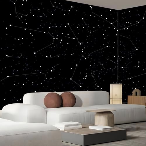 Papier Peint Panoramique Encre Noire 300X210Cm Constellations