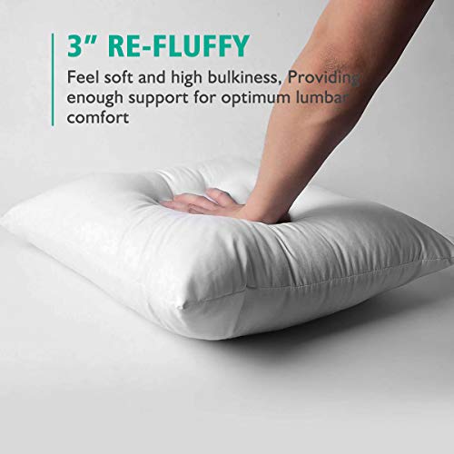 APSMILE Organic 16x16 Feather Down Throw Pillow Inserts Set of 2, 100% Cotton Fabric, Soft Fluffy Square Decorative Pillow Form Core for Sofa, Bed, Couch, Cushion Sham Stuffer - Thumbnail 7