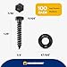 1/4 x 1-1/4 (100 Pack) Lag Screw Kit, 100 Screws and 100 Washers, Ceramic Black Ruspert Coating for Exterior Use, Meets ASTM A307 and ASME B18.2.1, Industrial/Commerical Grade by Makers Bolt
