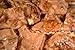 Granny’s Confections Handmade Premium Pecan Brittle. Southern Pecan Brittle - Made in USA. Old-Fashioned Brittles Candies. Gourmet Flavorful Bites, Crunch. Gift For Mother's Day, Father's Day, Christmas, Birthday. Anniversary, Corporate Gifts. 6 oz (170g) Bag
