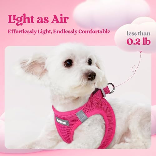 Image of rabbitgoo Dog Harness Small Sized and Leash Set, Step-in Puppy Pet Vest