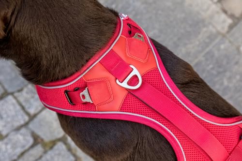 Belka Harness Brown S
