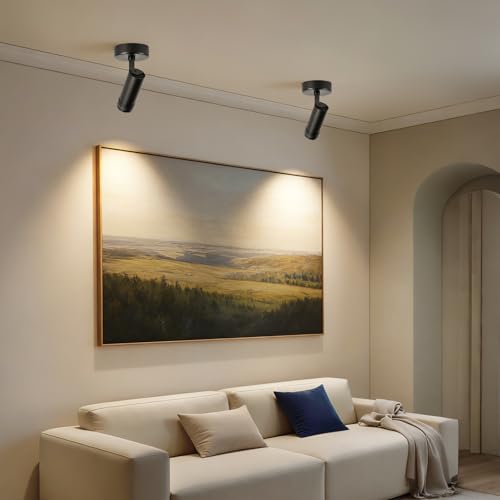 Image of 20W LED Zoomable Ceiling Spot Lights, 3000K Dimmable Spotlight Indoor,Black
