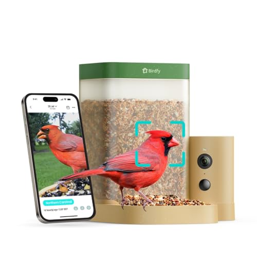Image of Birdfy Smart Bird Feeder with Camera for Rookie, Camera Bird Feeder Dual Night Vision, AI Recognition IP66 Waterproof for BirdLovers