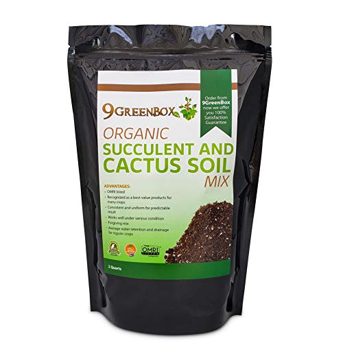 9Greenbox Organic Succulent and Cactus Soil Mix - OMRI Listed 100% Organic and All-Natural Gardening, Potting Blend - Well-Draining Substrate for Planting Indoor Plants, Herbs, Vegetables - 2-Quart