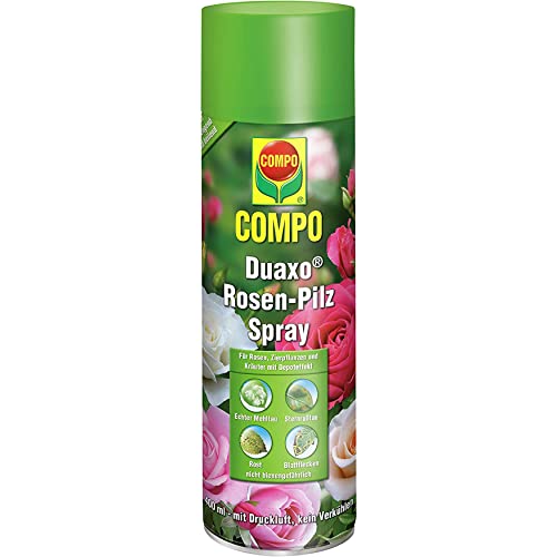 Preisvergleich Produktbild Compo Duaxo Rosen-Pilz Spray, Bekämpfung von Pilzkrankheiten an Rosen, Zierpflanzen und Kräutern, Anwendungsfertig, 400 ml