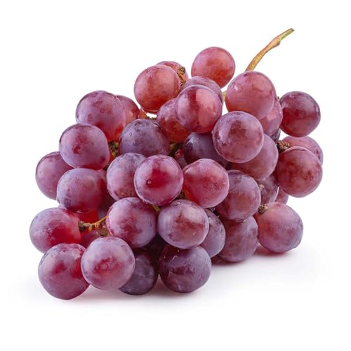 Grapes Red Egypt PP 500 g Approx. Weight