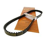 malossi 177 sport Keilriemen Malossi X K Special für , B=18 / H=8 L=755 W=32° Peugeot, Buxy, Elyseo, Elystar, Jetforce C-Tech, TSDI, Looxor, Ludix, Metal-X, New Vivacity, Rapido, Speedfight 2, 1, 3, Squab, TKR, Vivacity 50