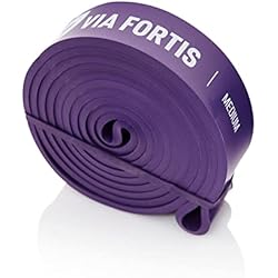 VIA FORTIS Bandas de Resistencia Premium + Instrucciones de Ejercicio y Bolsa - Bandas de Resistencia/Bandas de Tracción y Ayuda a la Tracción/Bandas de Entrenamiento Fitness & Musculación 4 VIA FORTIS Bandas de Resistencia Premium + Instrucciones de Ejercicio y Bolsa - Bandas de Resistencia/Bandas de Tracción y Ayuda a la Tracción/Bandas de Entrenamiento Fitness & Musculación