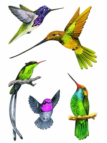 Hummingbirds Stickers (Dover Little Activity Books: Animals) Hummingbirds Stickers (Dover Little Activity Books: Animals)