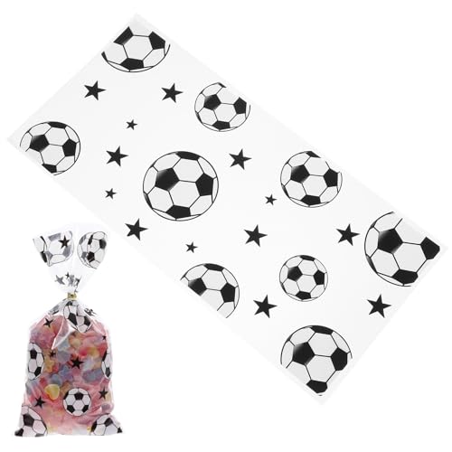 BIUDECO 100 TbJ[e[}َq X|[ct@XibNobO cCXgt g₷p[eB[LOi prΉ