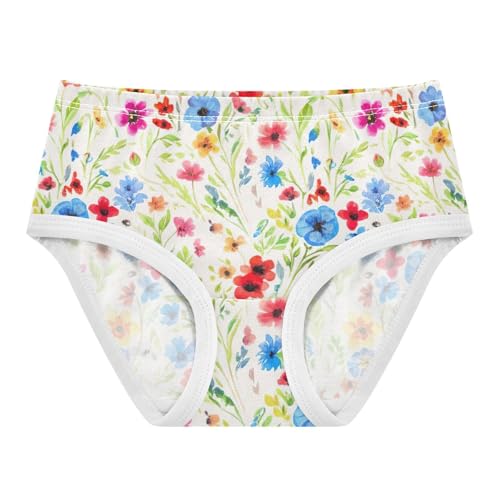 Wildflowers Pastel Girls Underwear Toddler 2t Cotton Little Girl Panties Fun Briefs Underpants